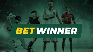 BetWinner Bookmaker A Comprehensive Guide to Betting