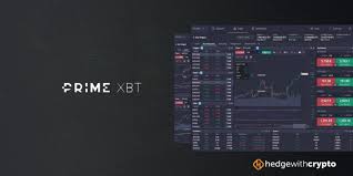 Trading Strategies and Insights with PrimeXBT