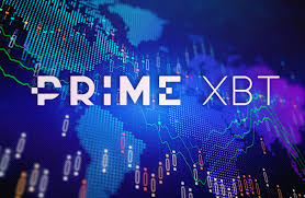 Trading Strategies and Insights with PrimeXBT